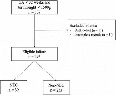 A prediction model for neonatal necrotizing enterocolitis in preterm and very low birth weight infants